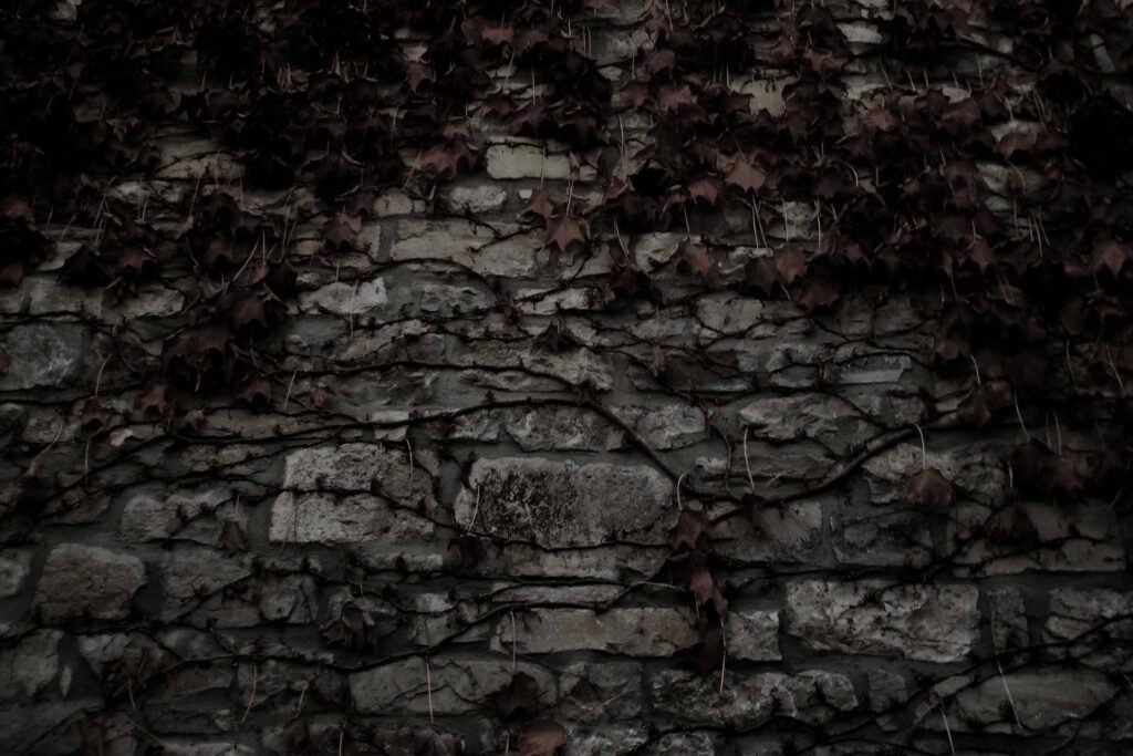 dark stone wall background full hd
