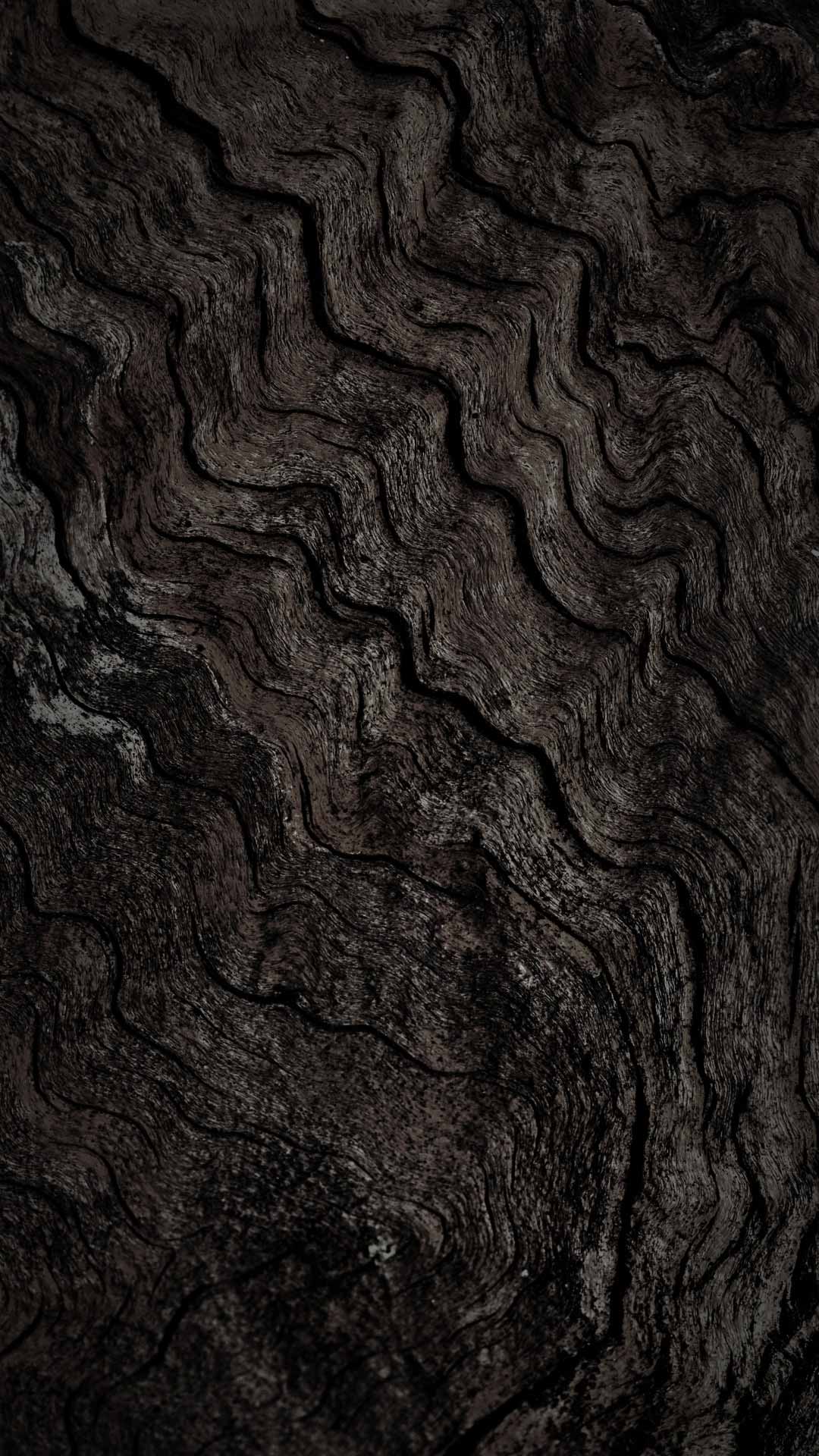 black tree bark background