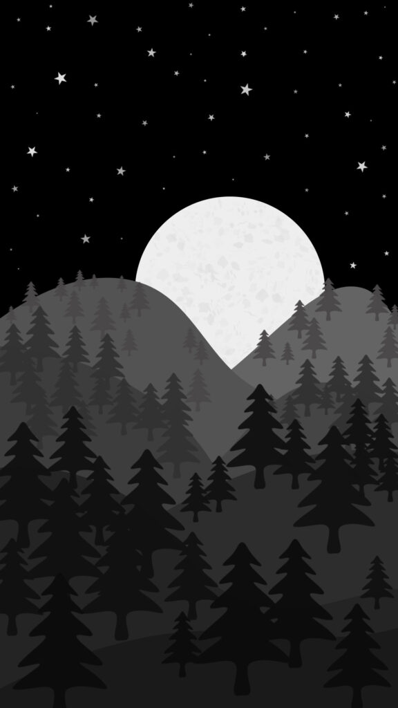 night landscape illustration wallpaper