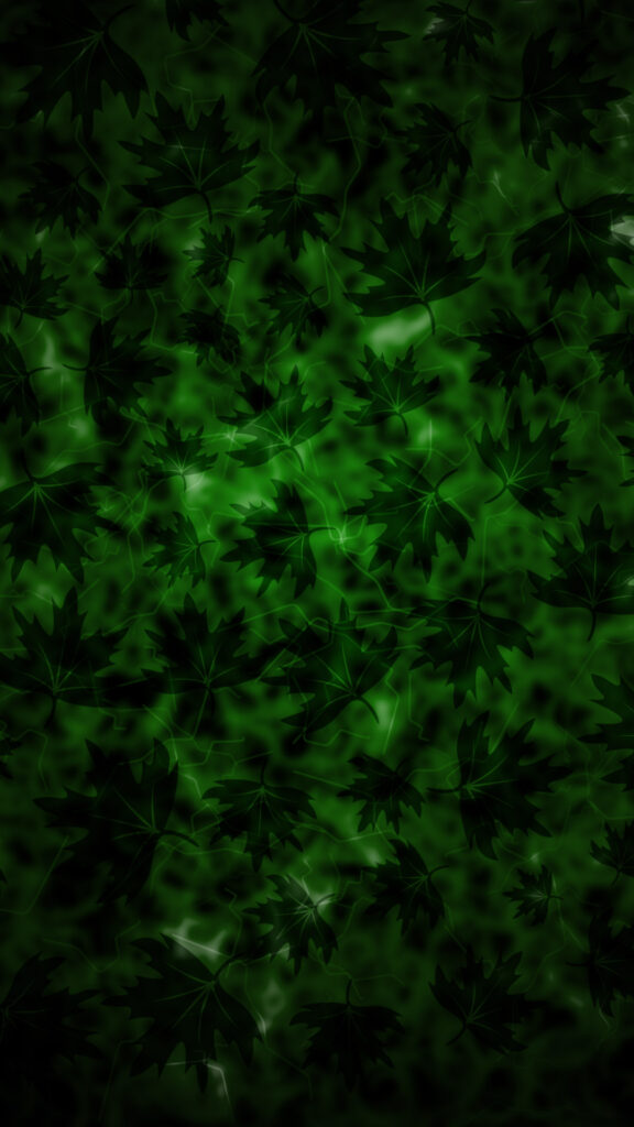 black green leaves wallpaper 1080p
