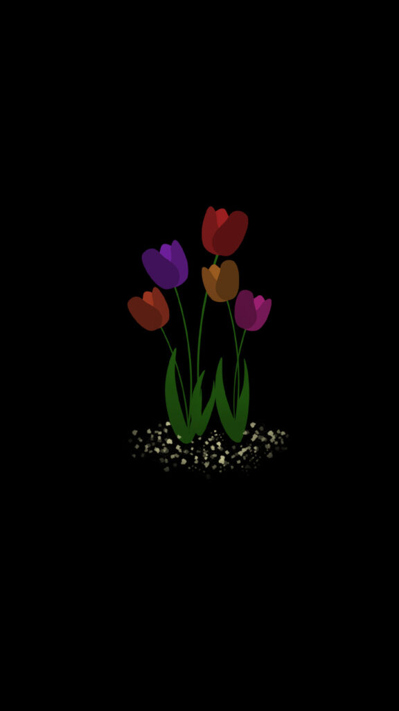 tulips black wallpaper for phone