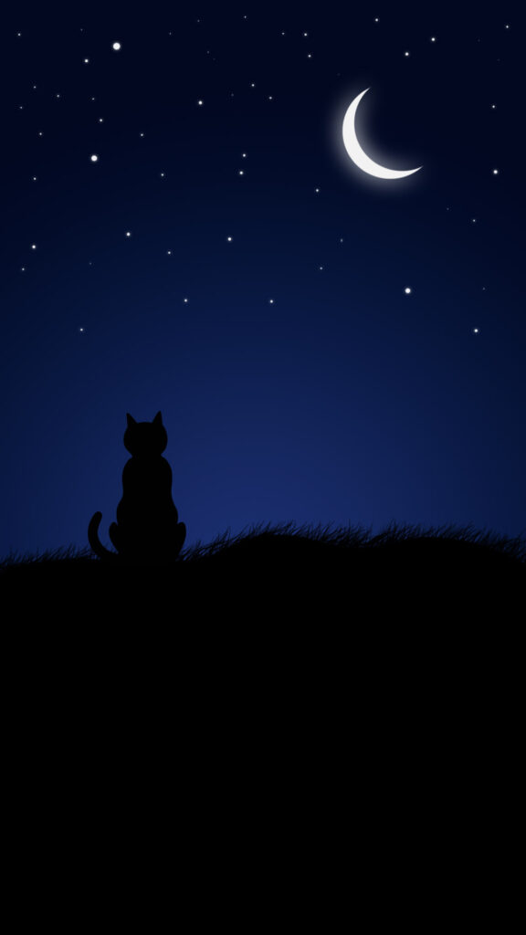 black phone wallpaper cat and night